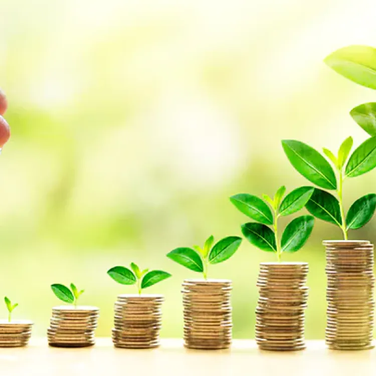 Fixed deposit
